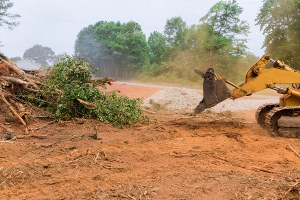 Cost of Ground Clearing in Boston