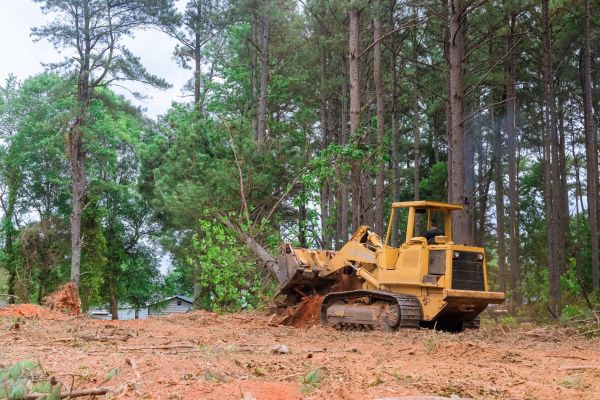 Cost of Property Clearing in Boston