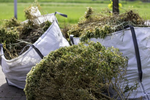 Cost of Bushes Clearing in Boston